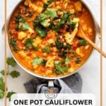 cauliflower stew with curry.